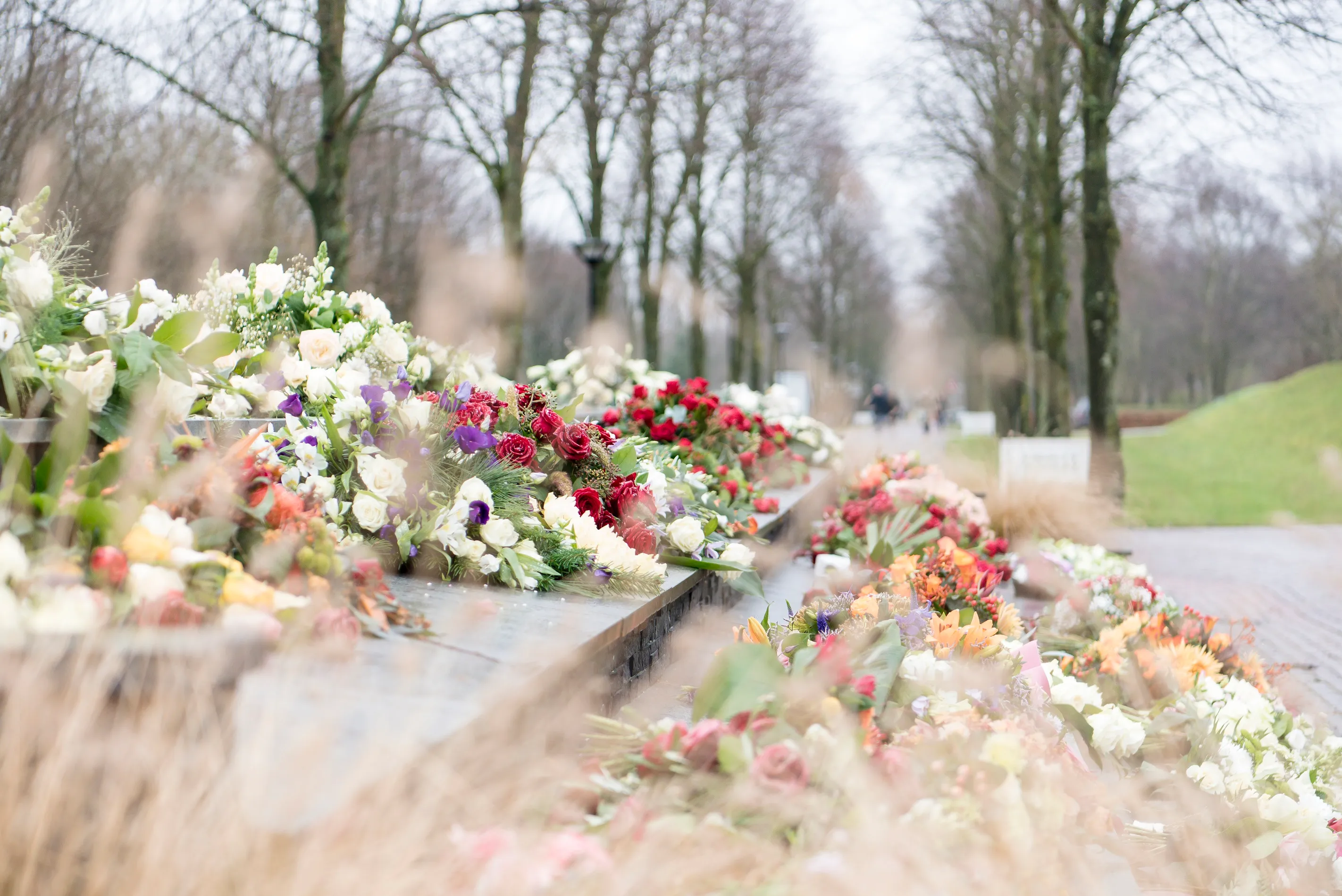 kleinsbik 20171223 mjfetter 0030