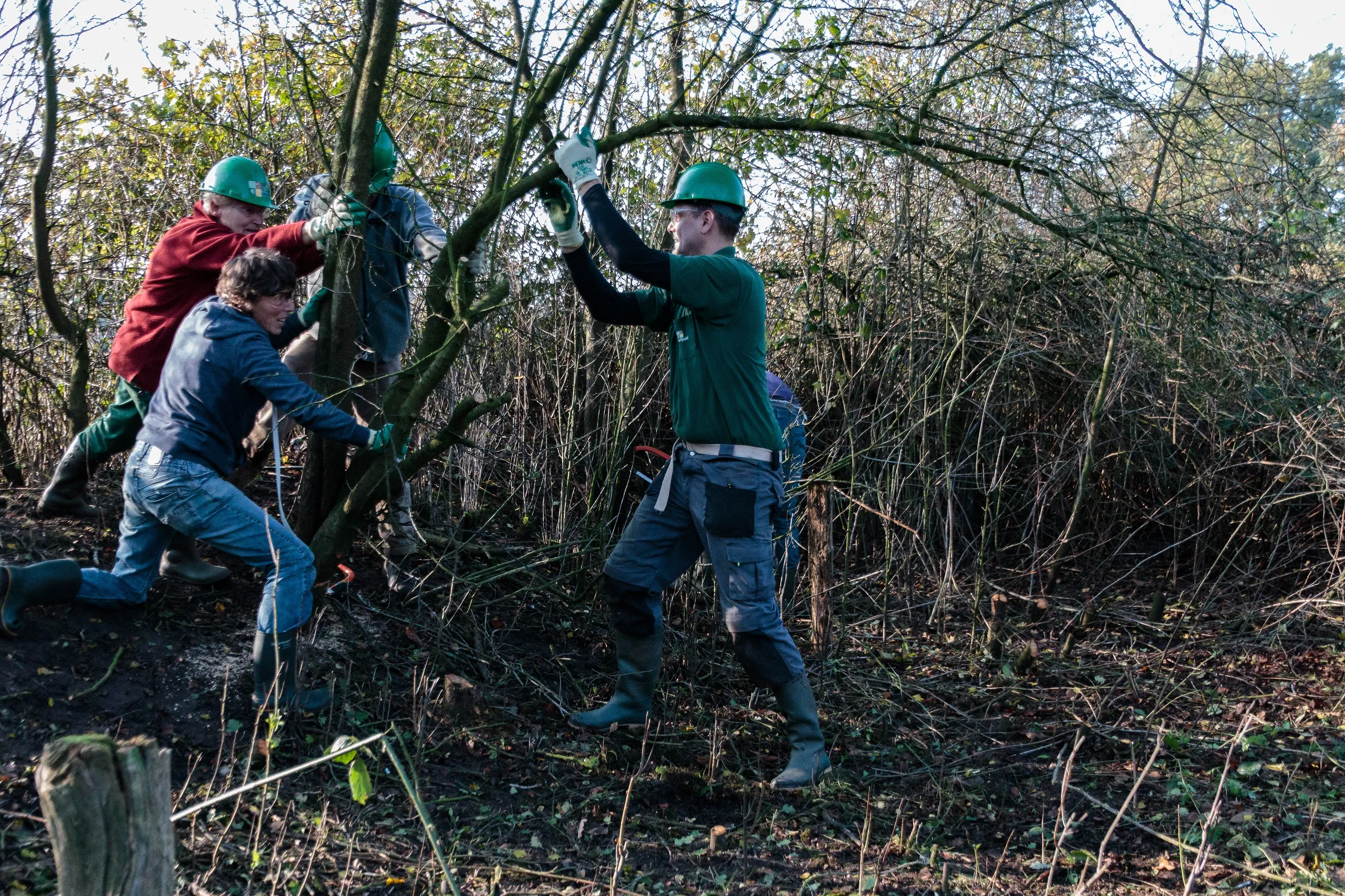 natuurwerkdag henny de joode