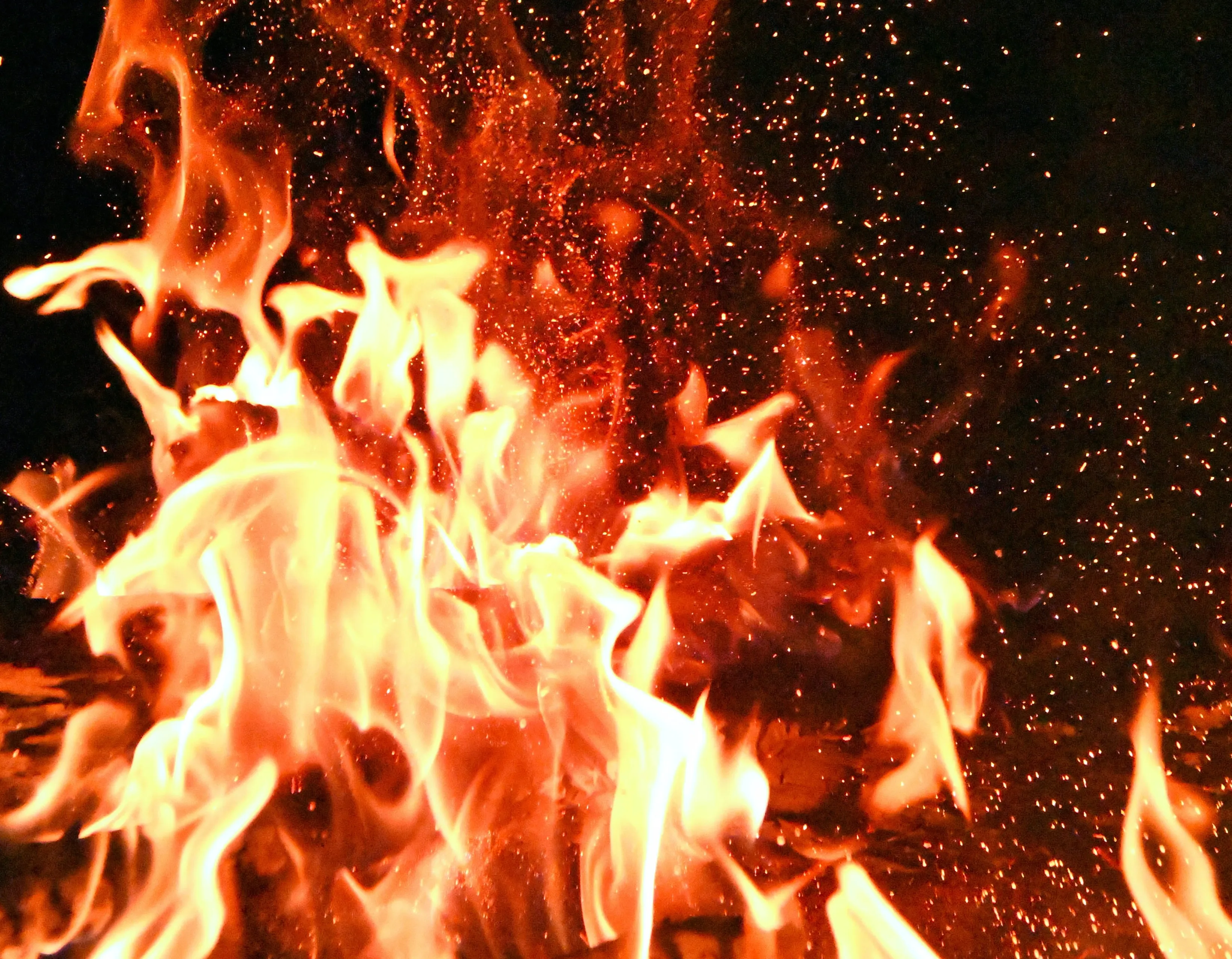 pexels adonyi gbor 1558916 e1597140075774