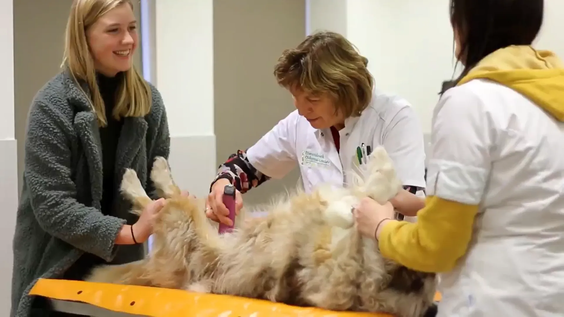 schermafdruk 2021 07 05 092225