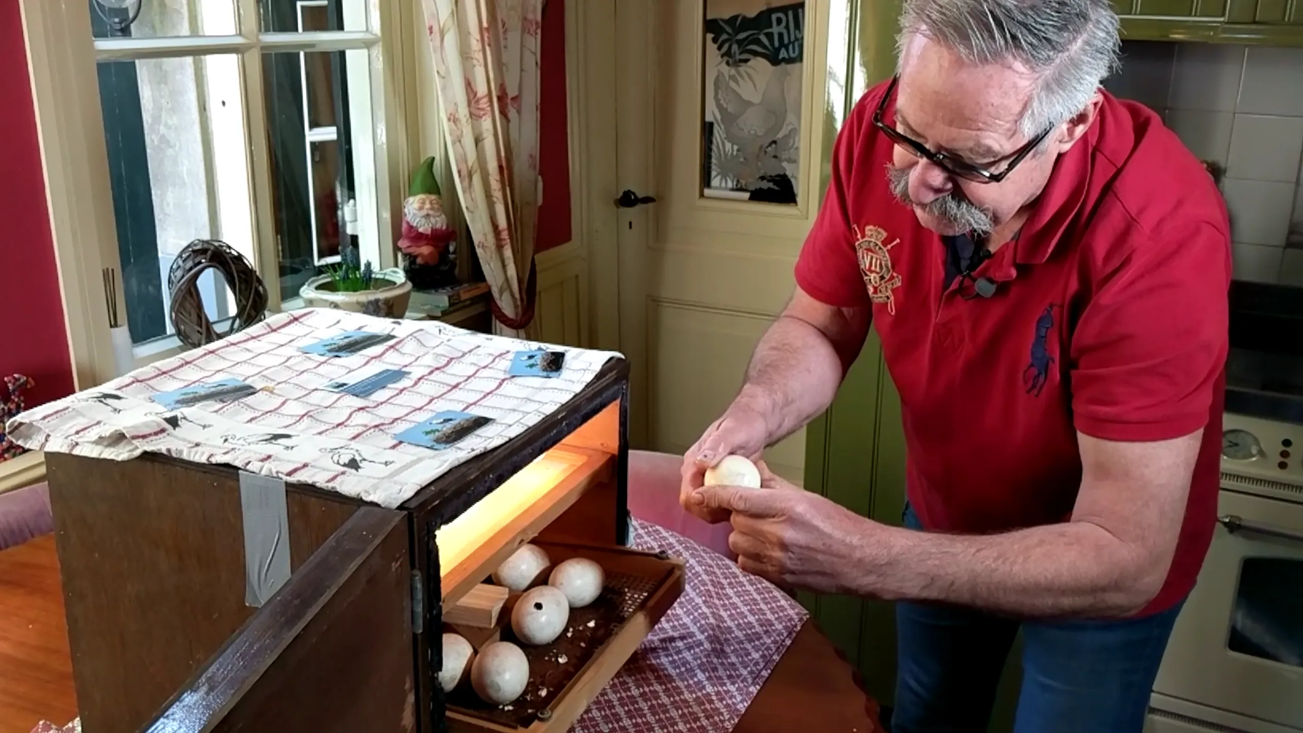 screenshot 20190516 121259