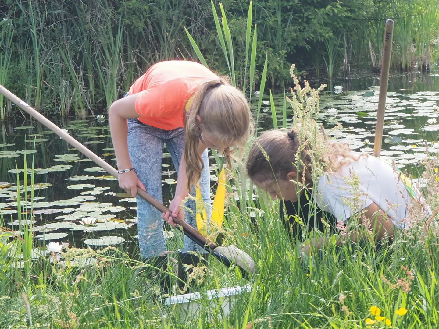 waterprojectmei2018 18c