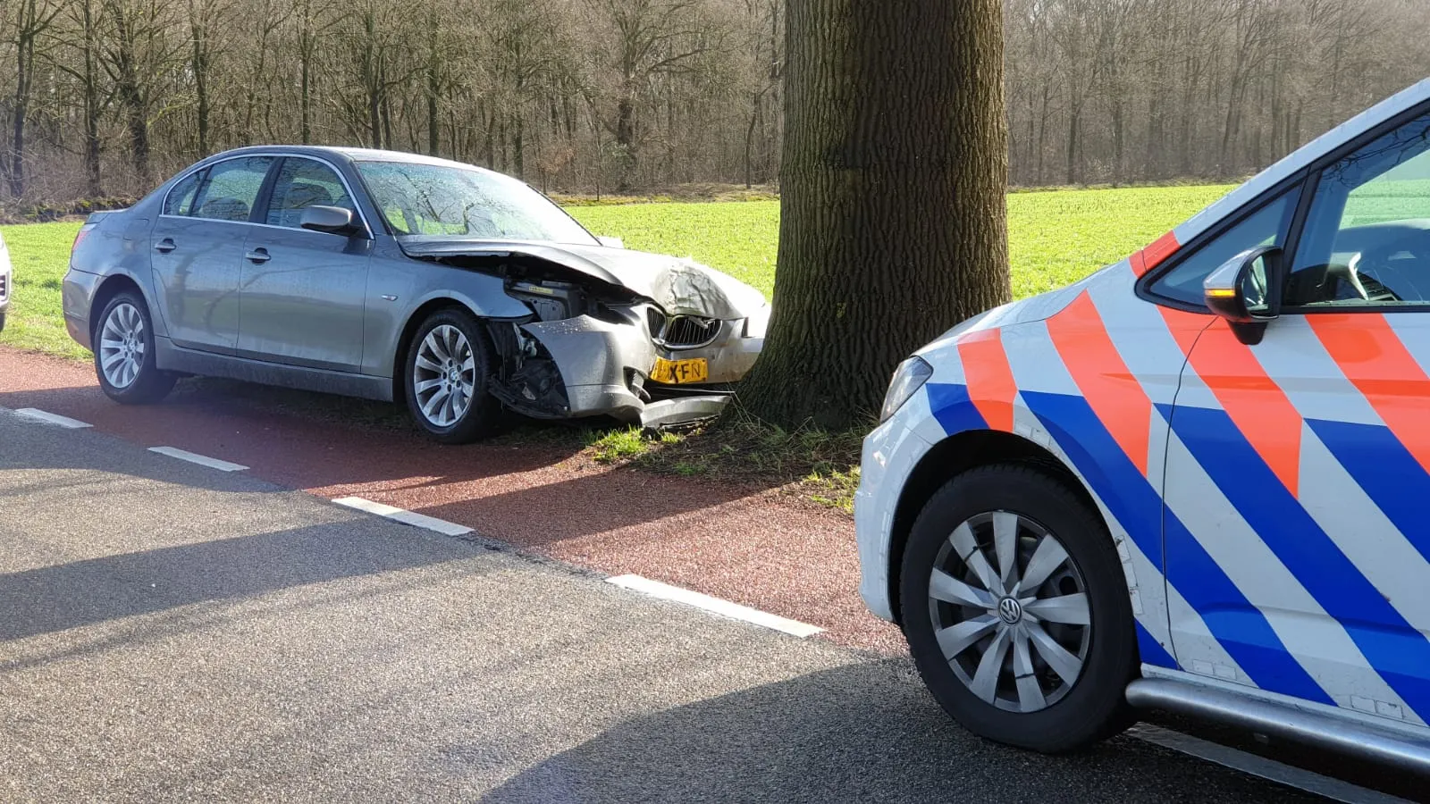 whatsapp image 2019 03 08 at 111807