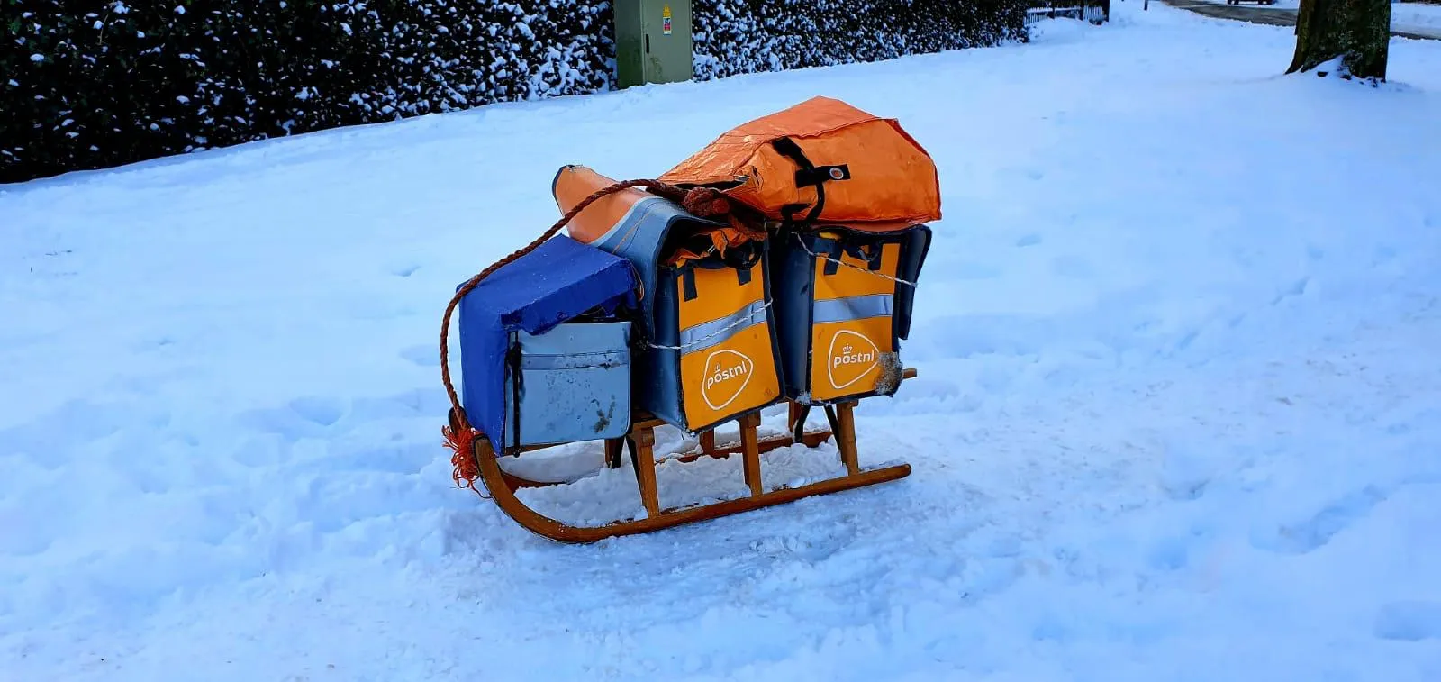 whatsapp image 2021 02 11 at 114634