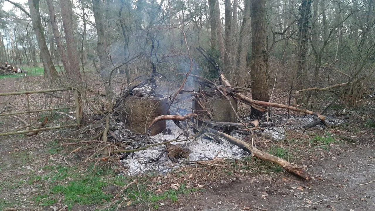 whatsapp image 2021 04 01 at 203516