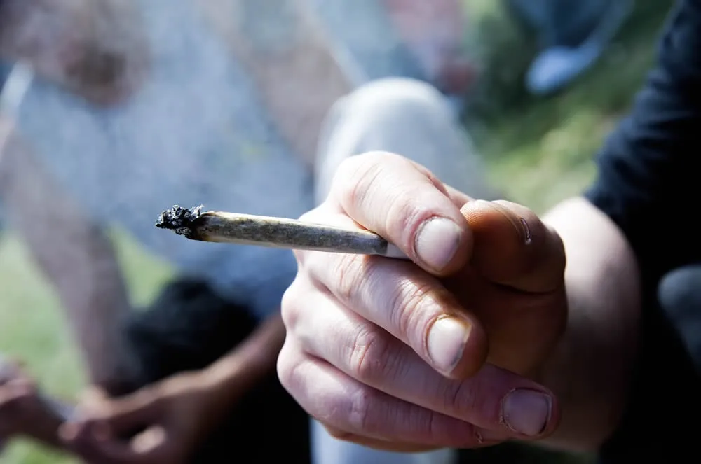 wietexperiment piet van der meer