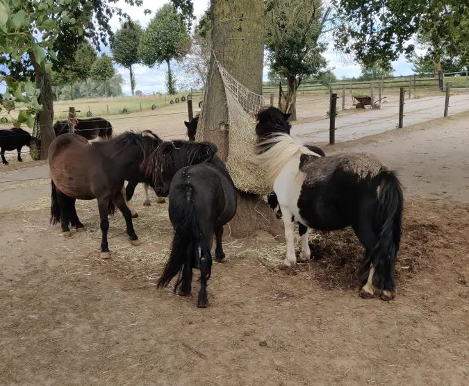 Scherm­afbeelding 2025-12-23 om 11.16.49