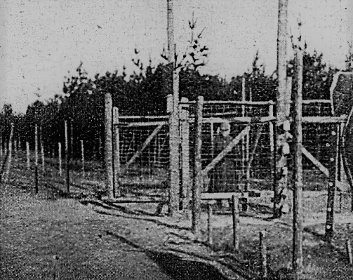 hochspannungszaun belgien holland 1