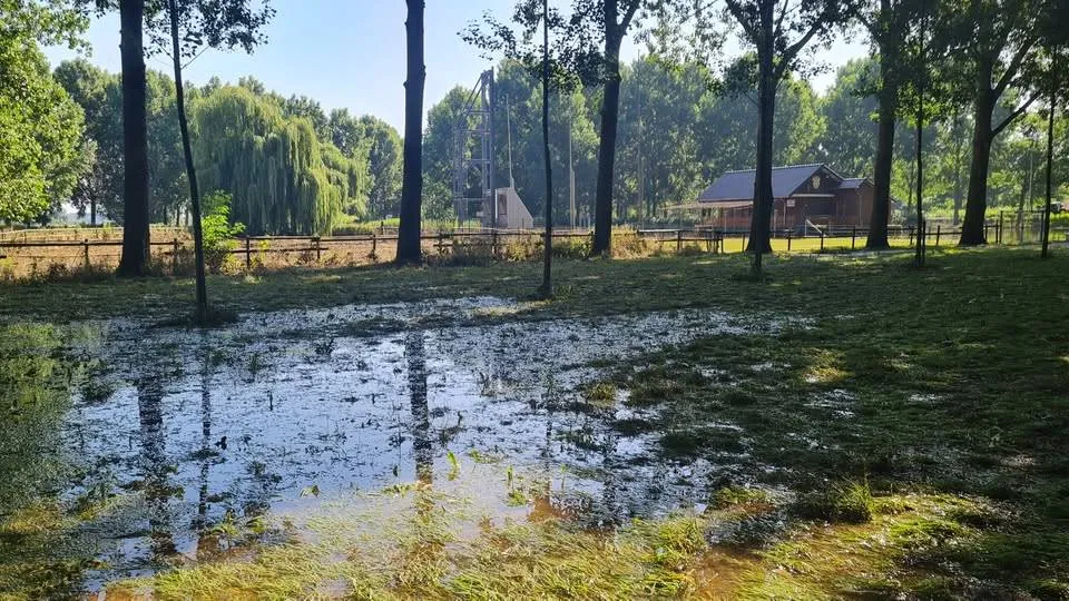 wegen weer open maasgouw