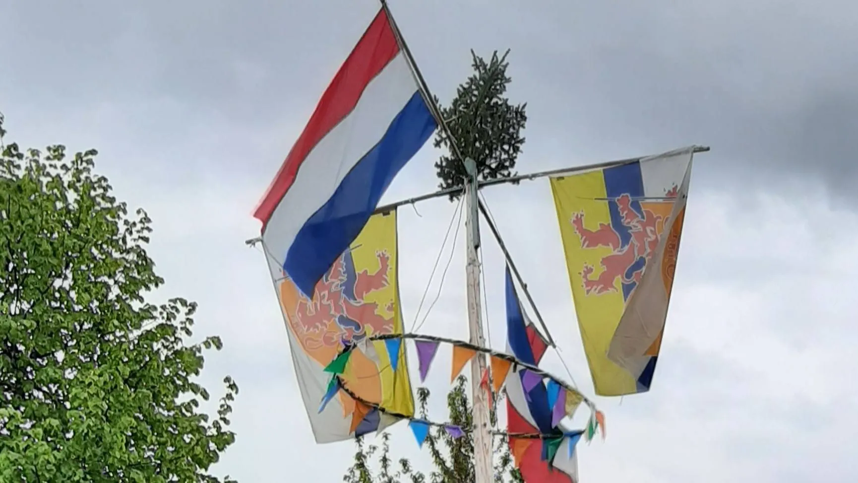 20240427 123530 1 meiboom 1