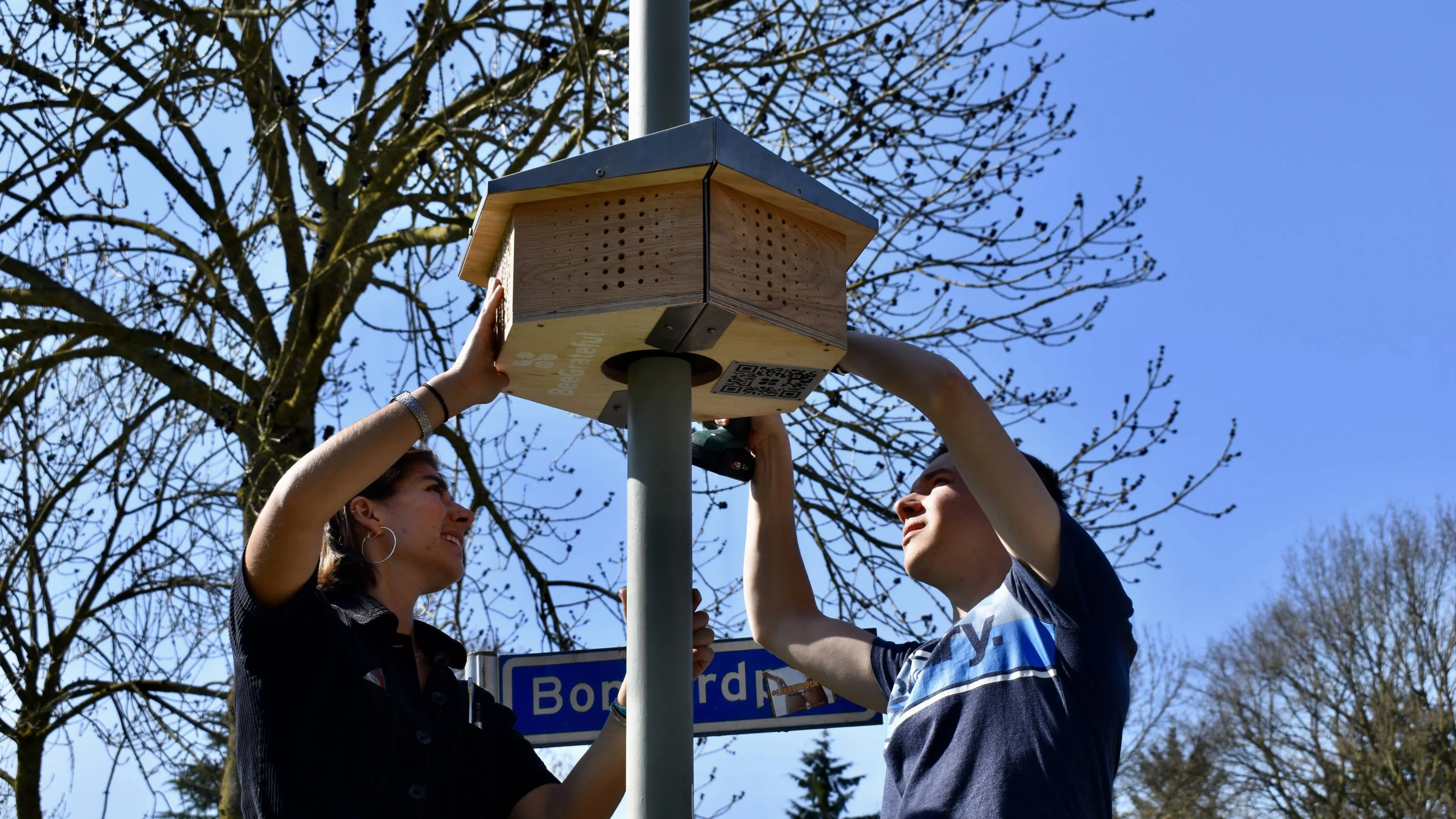 ophangen bijenhotel webpagina maasgouw 1