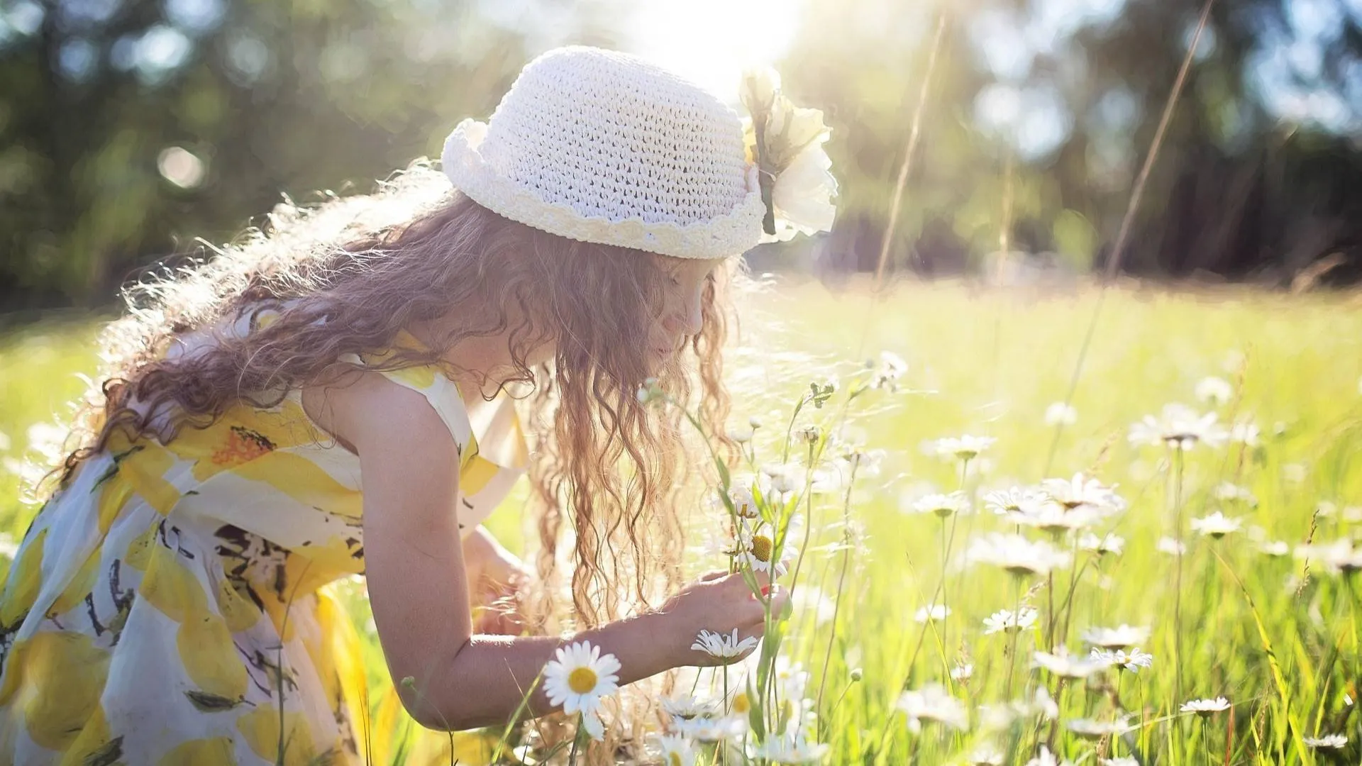 evelien picking flowers 2432972 1920 jillwellington