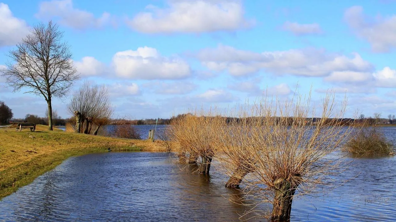 flood-456696_1280-1