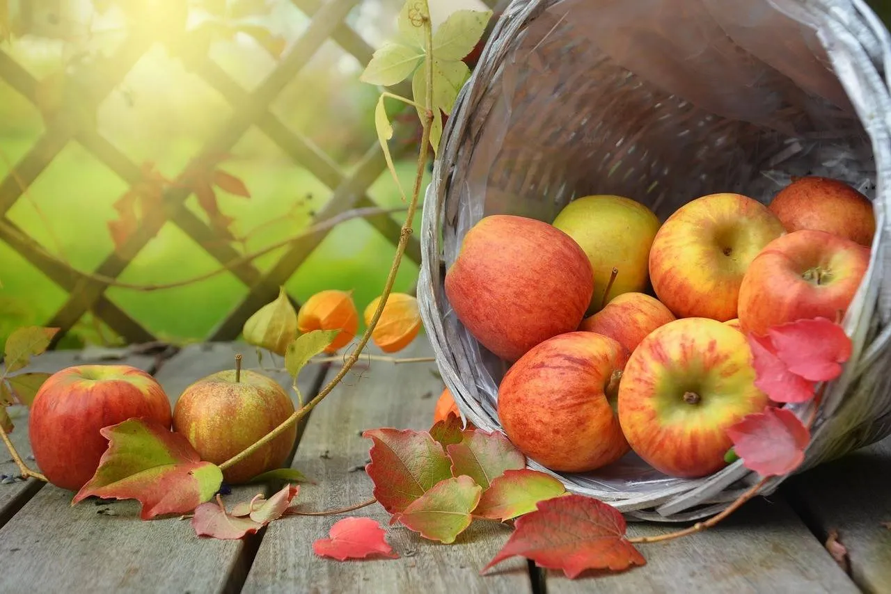 apples-1776744_1280-1