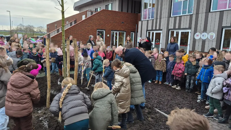 Toermalijn Maasbracht-1
