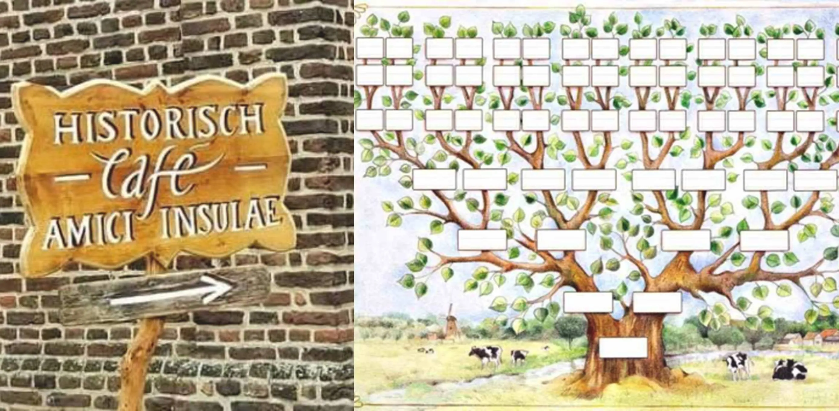 Amici Insulae - Afbeelding 2-1