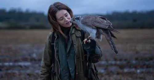 H is for Hawk - 10729629582716958383