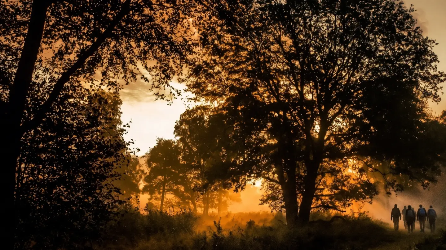 avond wandeling door de Meinweg met VVV Hart van Limburg gids  ©HartvanLimburg-1