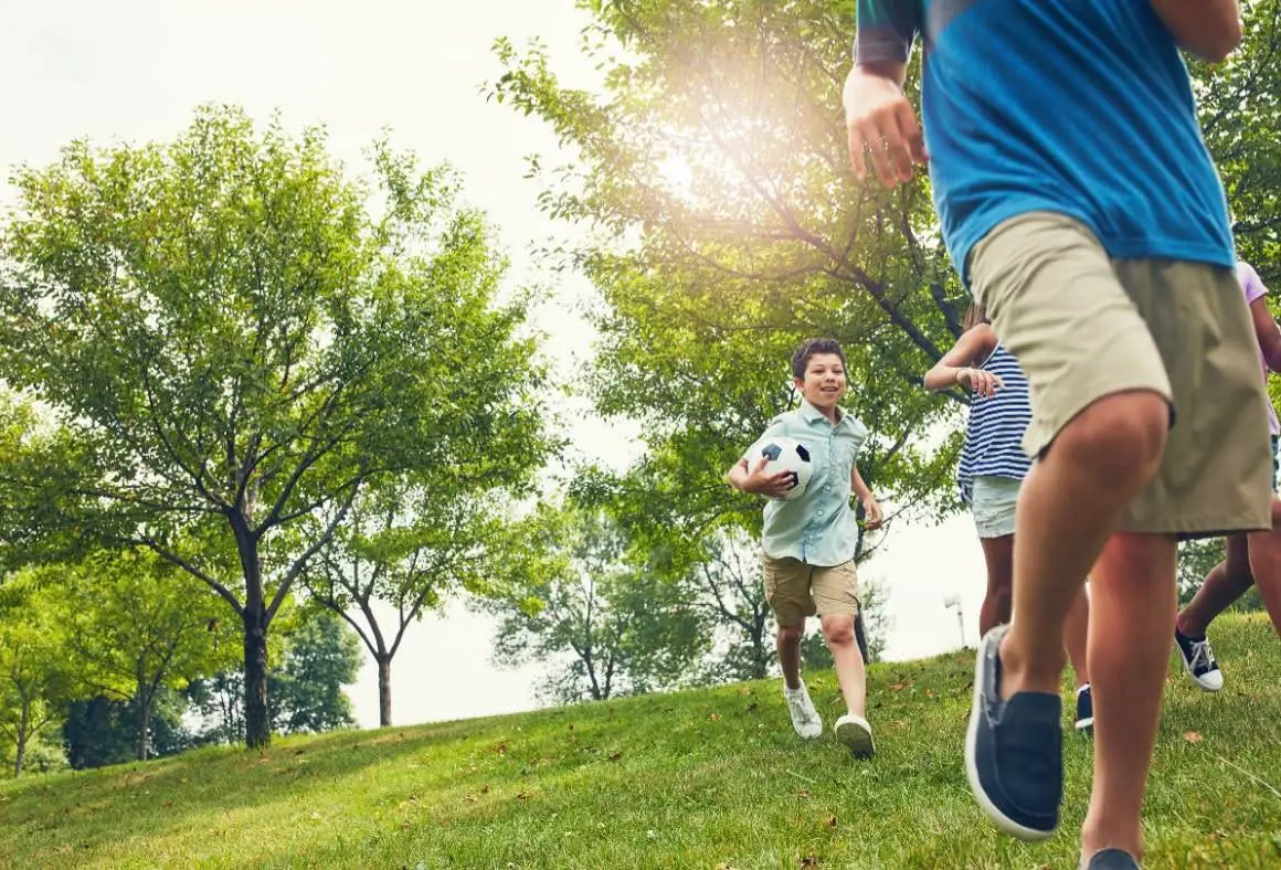 Ontdek de zomer in Maasgouw - 743261952_4013021735663086_5722841487741532117_n