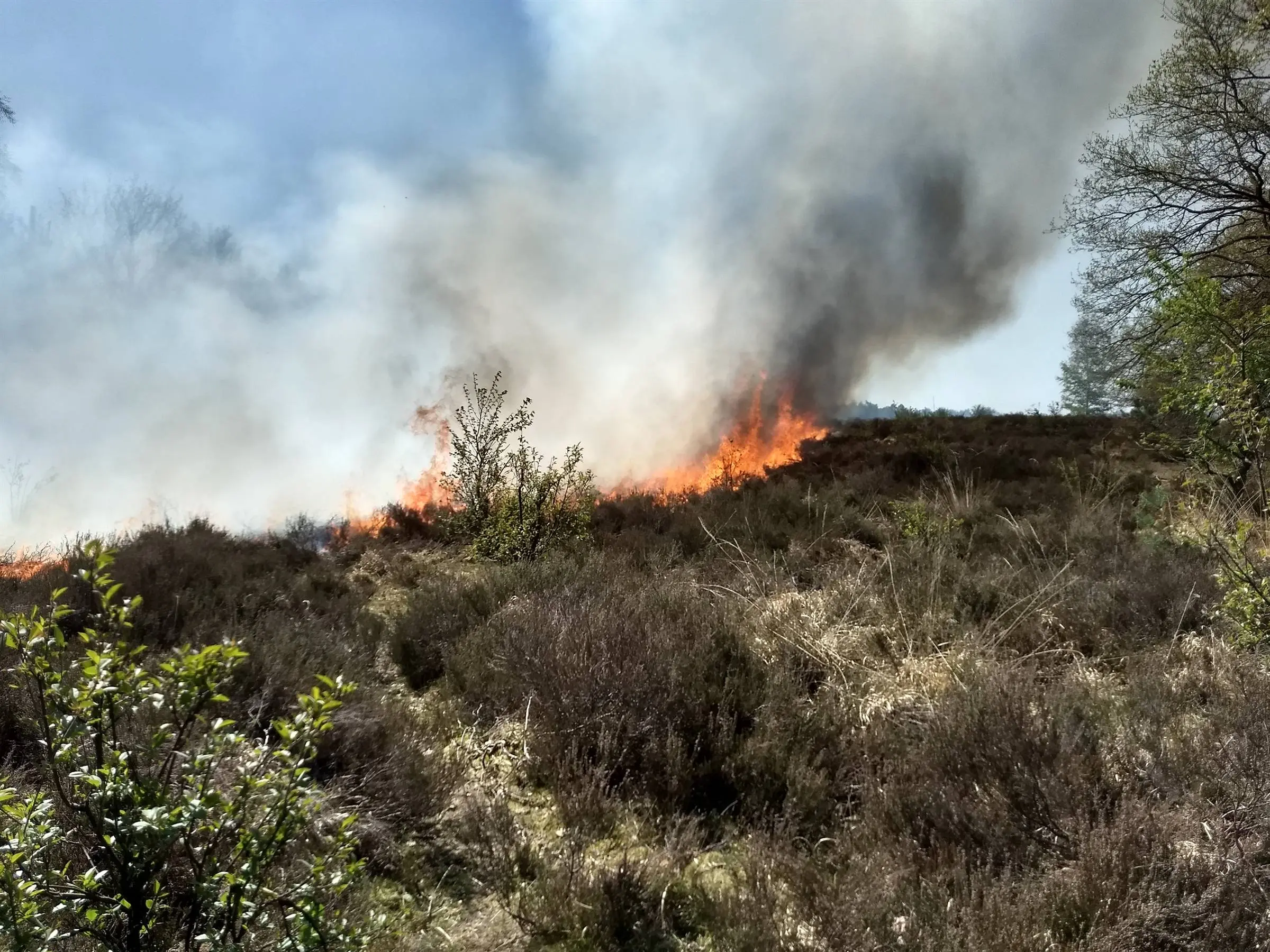 provincie Limburg - natuurbrandrisico