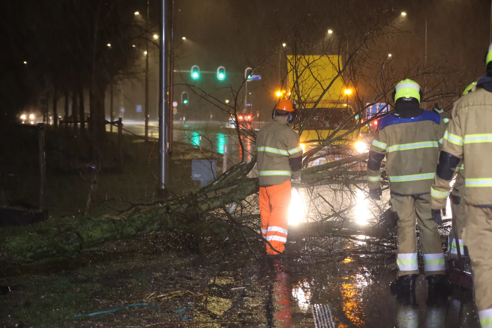 20231221202048 l16a2797