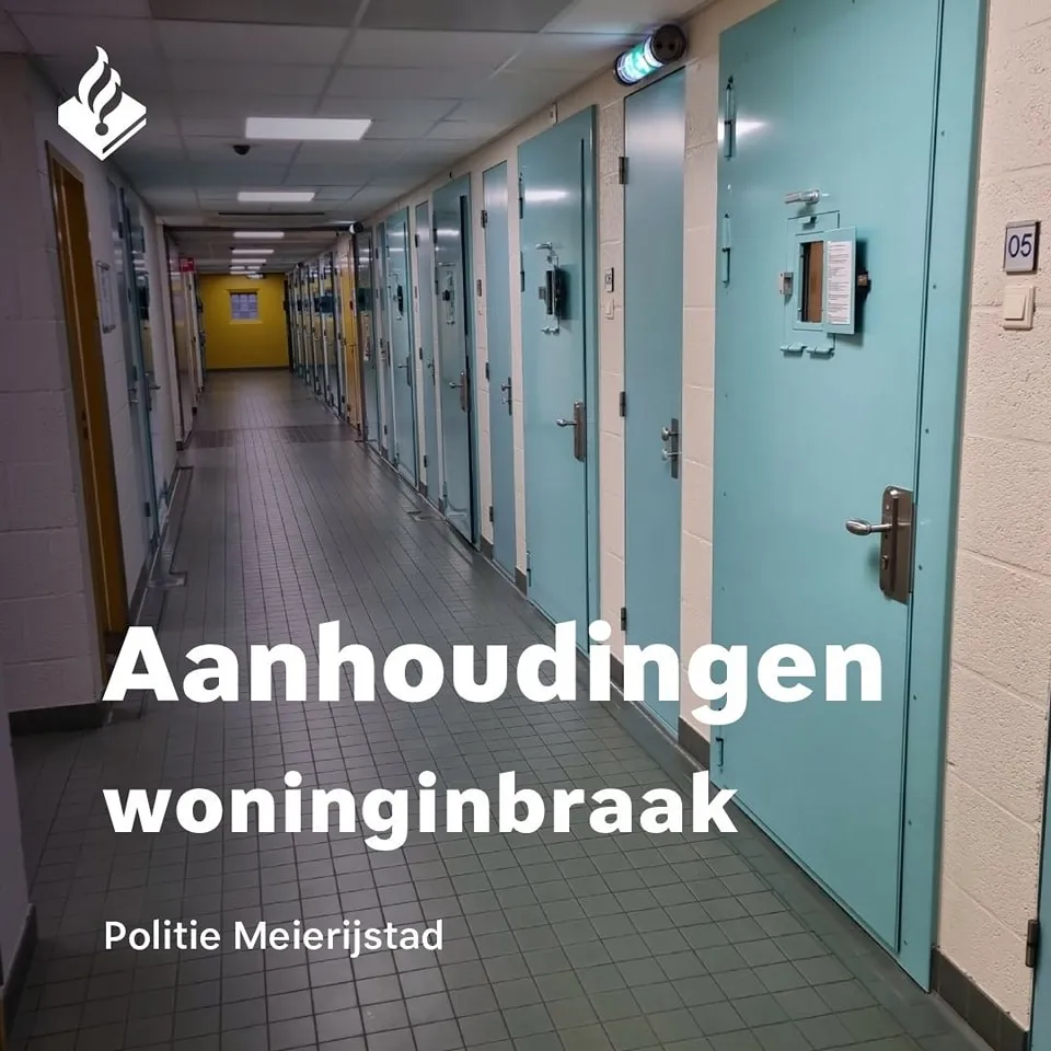 332775499 1562049687635459 8912594003222314111 n