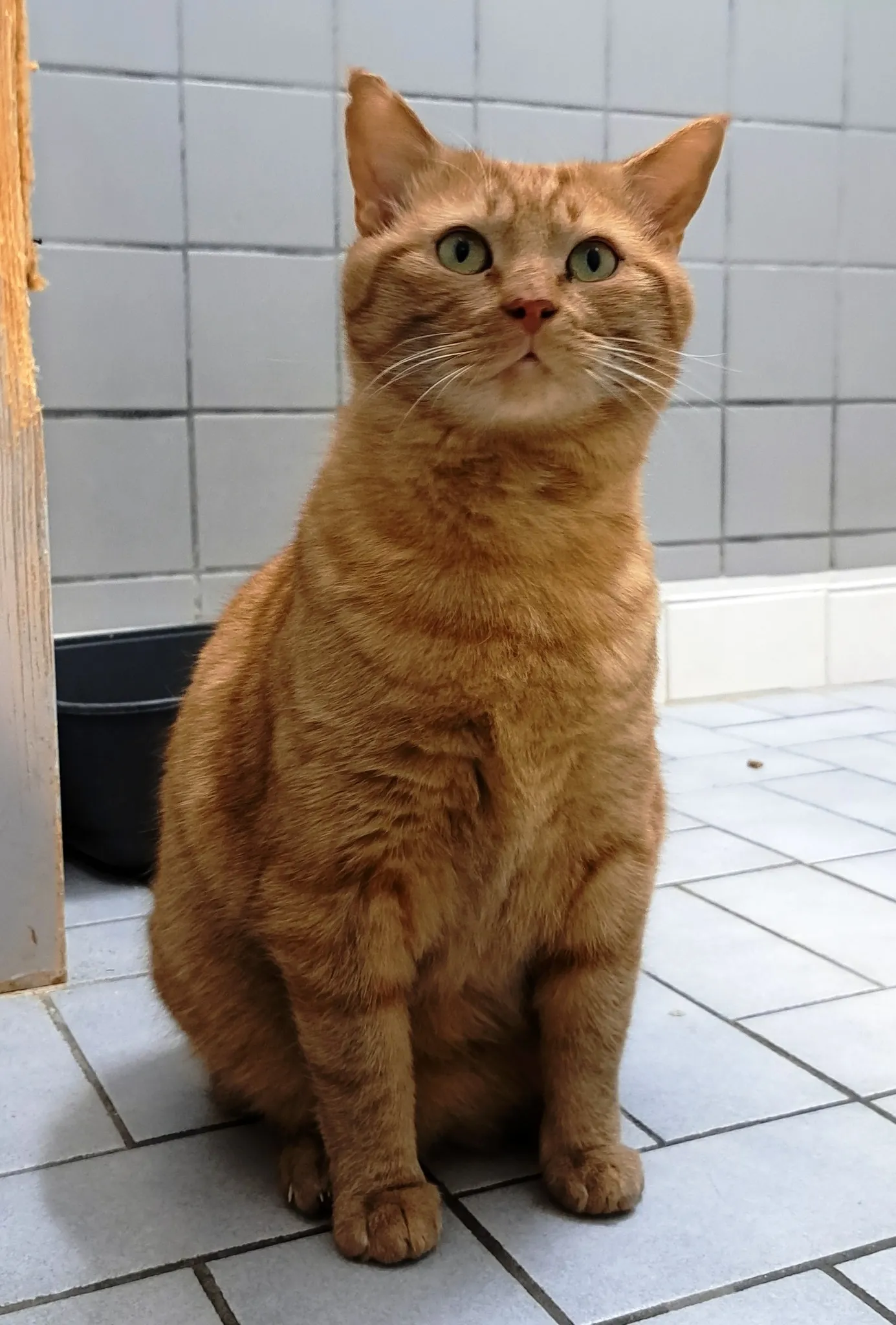 343440536 2300138743493094 3379739876739631135 n