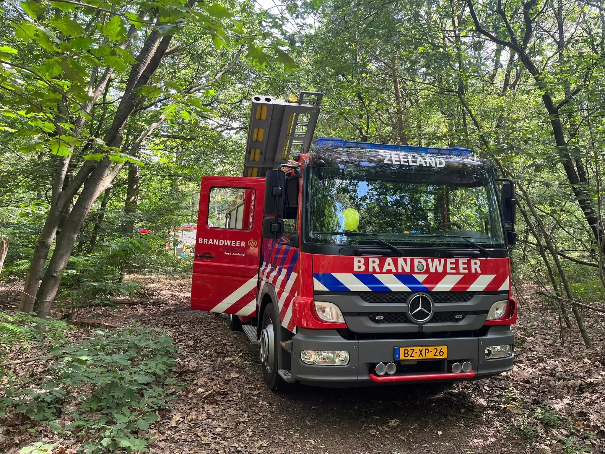 355644783 245399921555605 6561913100471129001 n