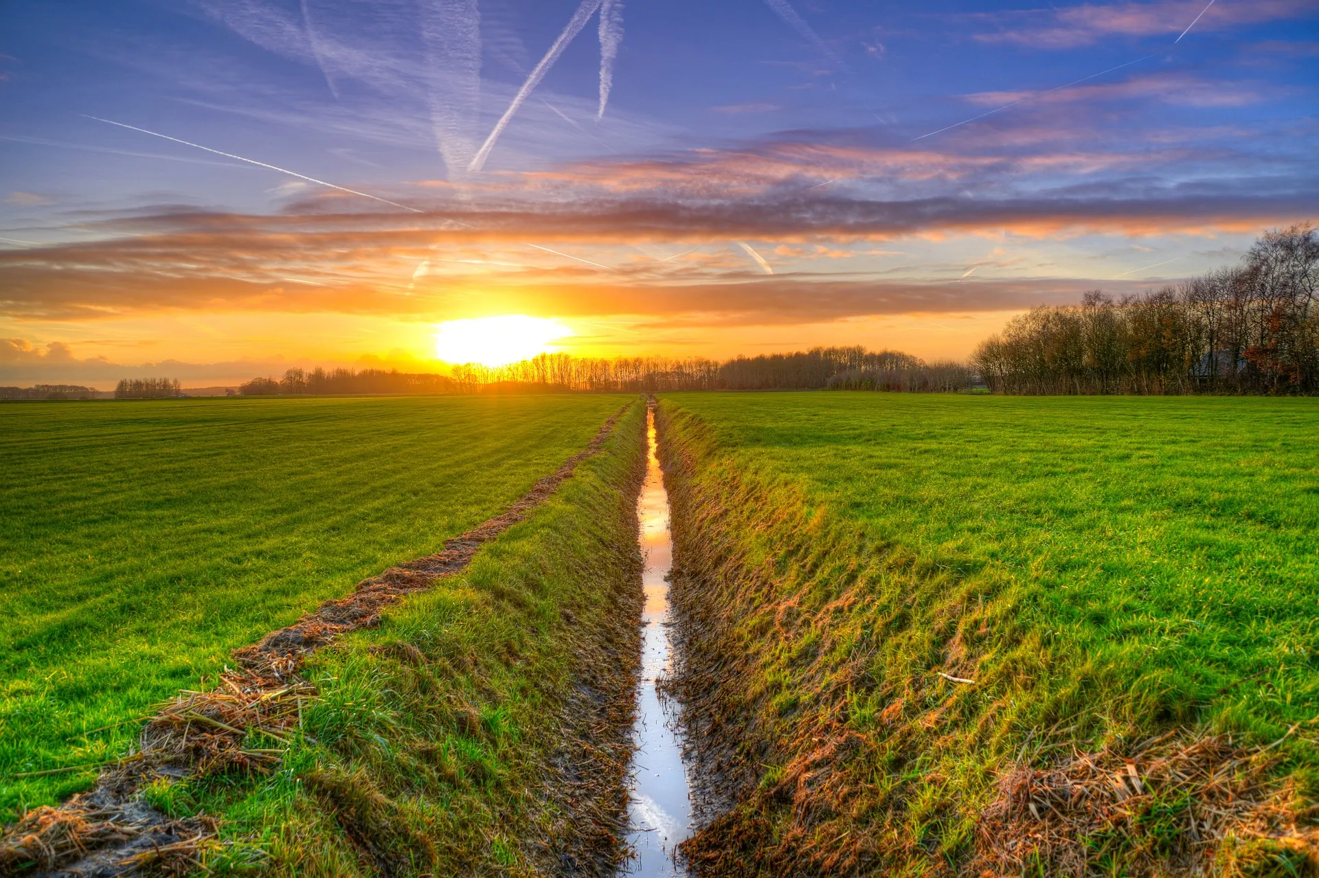 ditch g97c37d3c4 1920