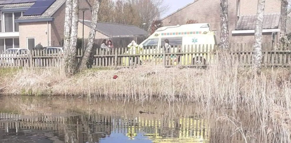 fb img 1681369566468