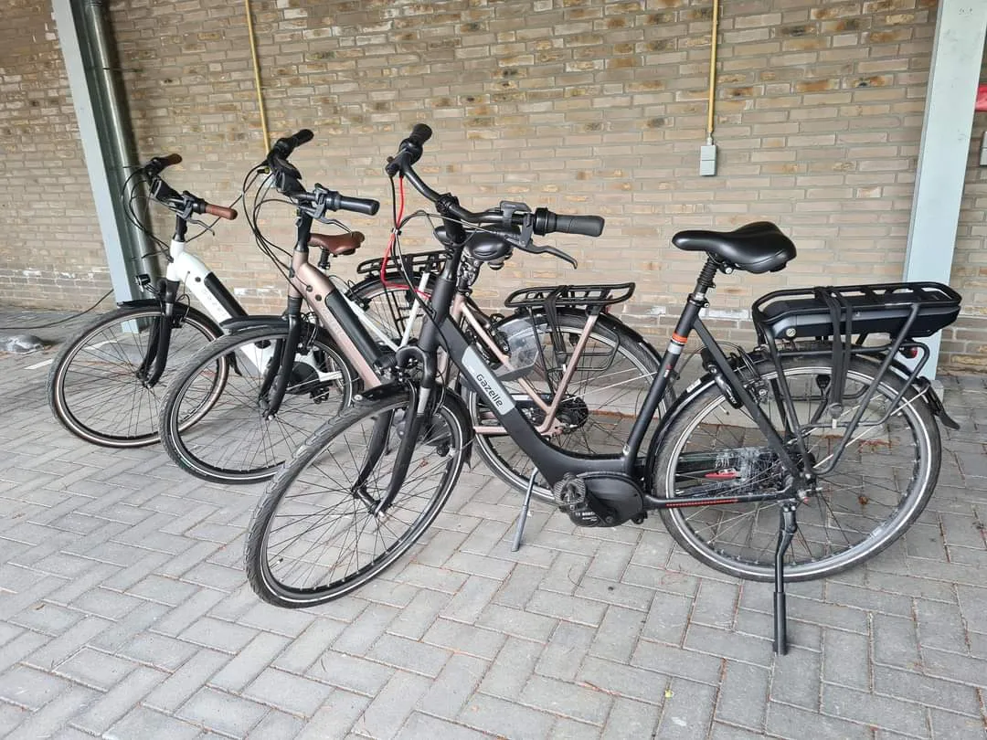 fb img 1683545120840