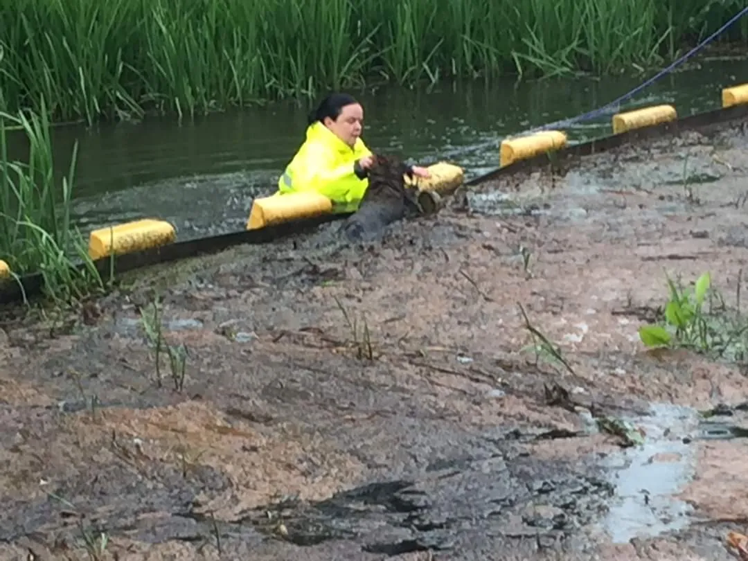 fb img 1683709641471