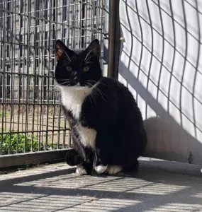 fuzzy 1 rotated e1685462597601 285x300 1