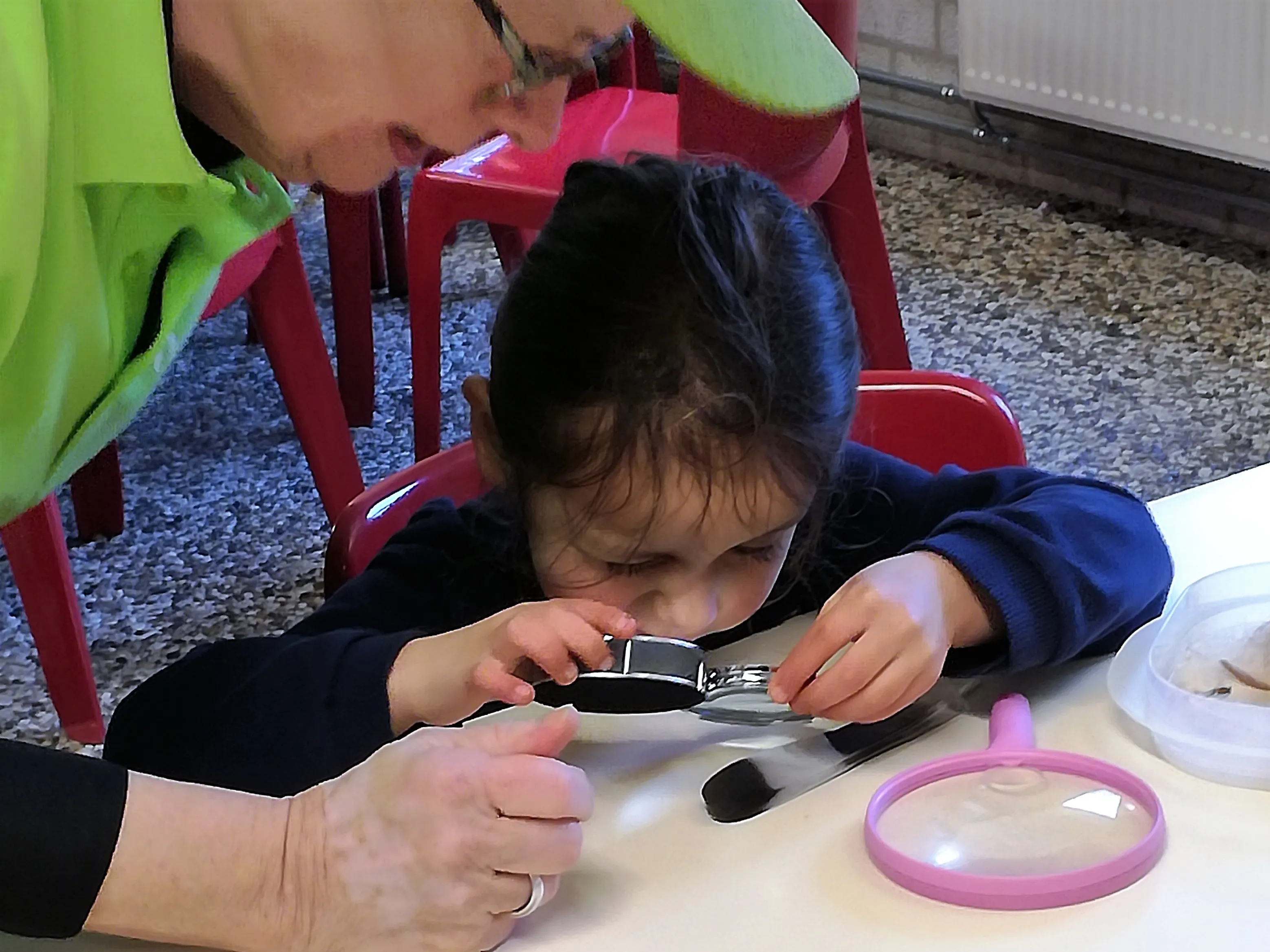 img 20200227 142055 2