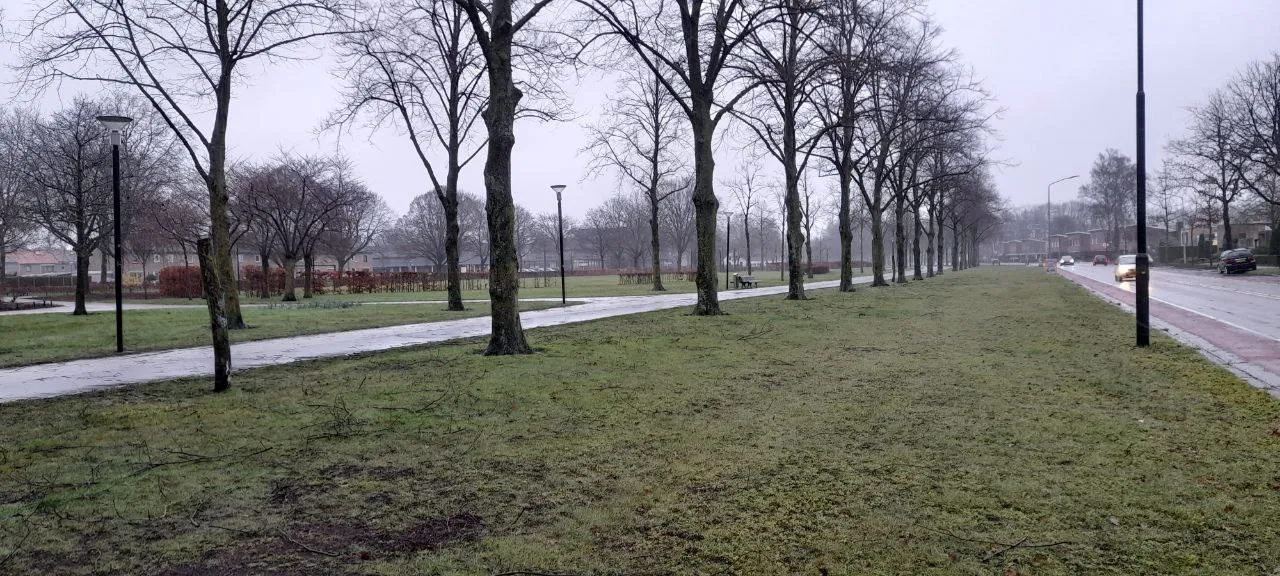 img 20230310 173534 291