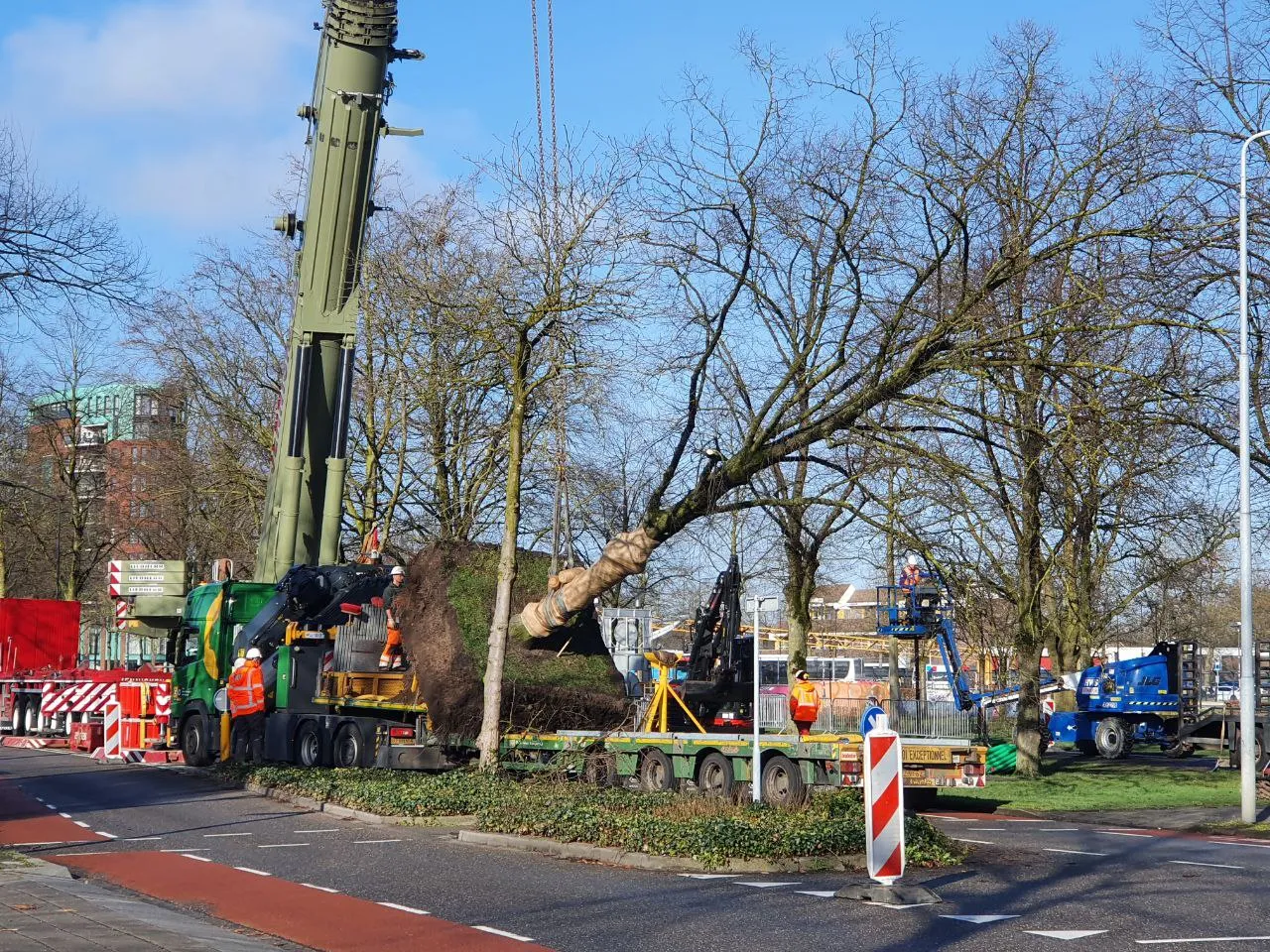 img 20230315 202658 627