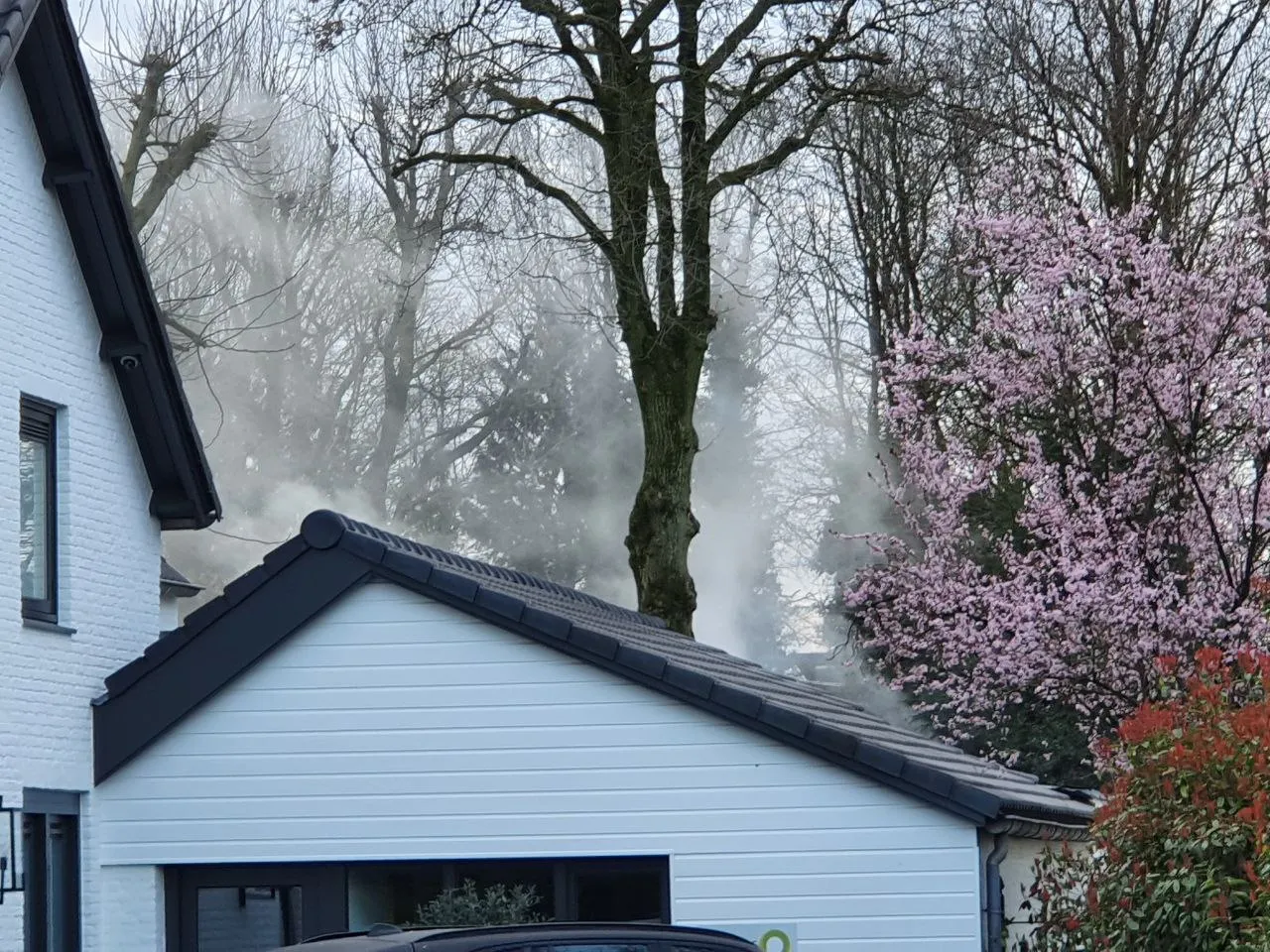 img 20230322 071710 870