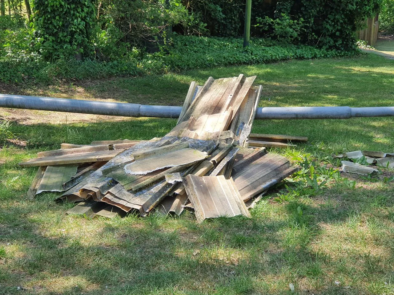 img 20230604 135541 498