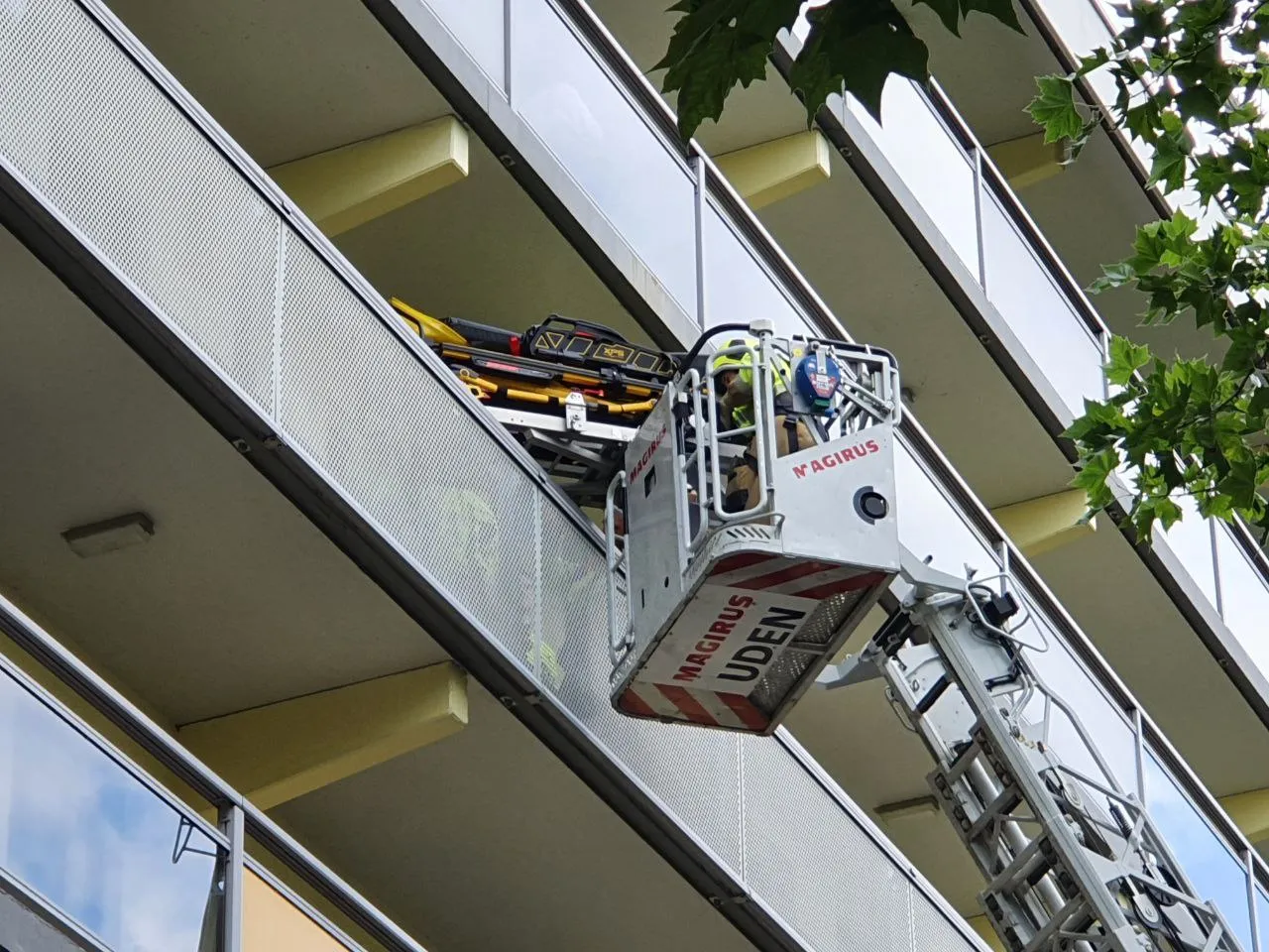 img 20230712 183927 482