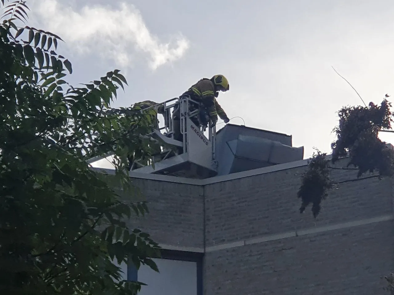 img 20231102 142506 202