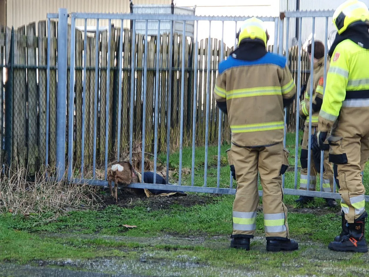 img 20240227 094323 472