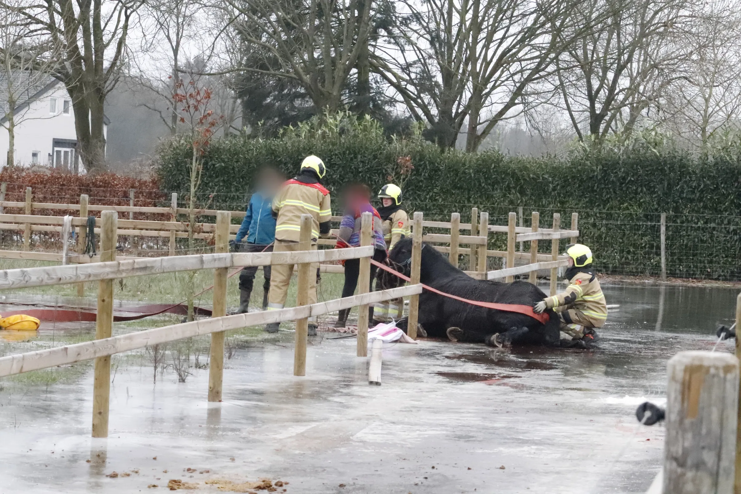 point blur jan112024 154141