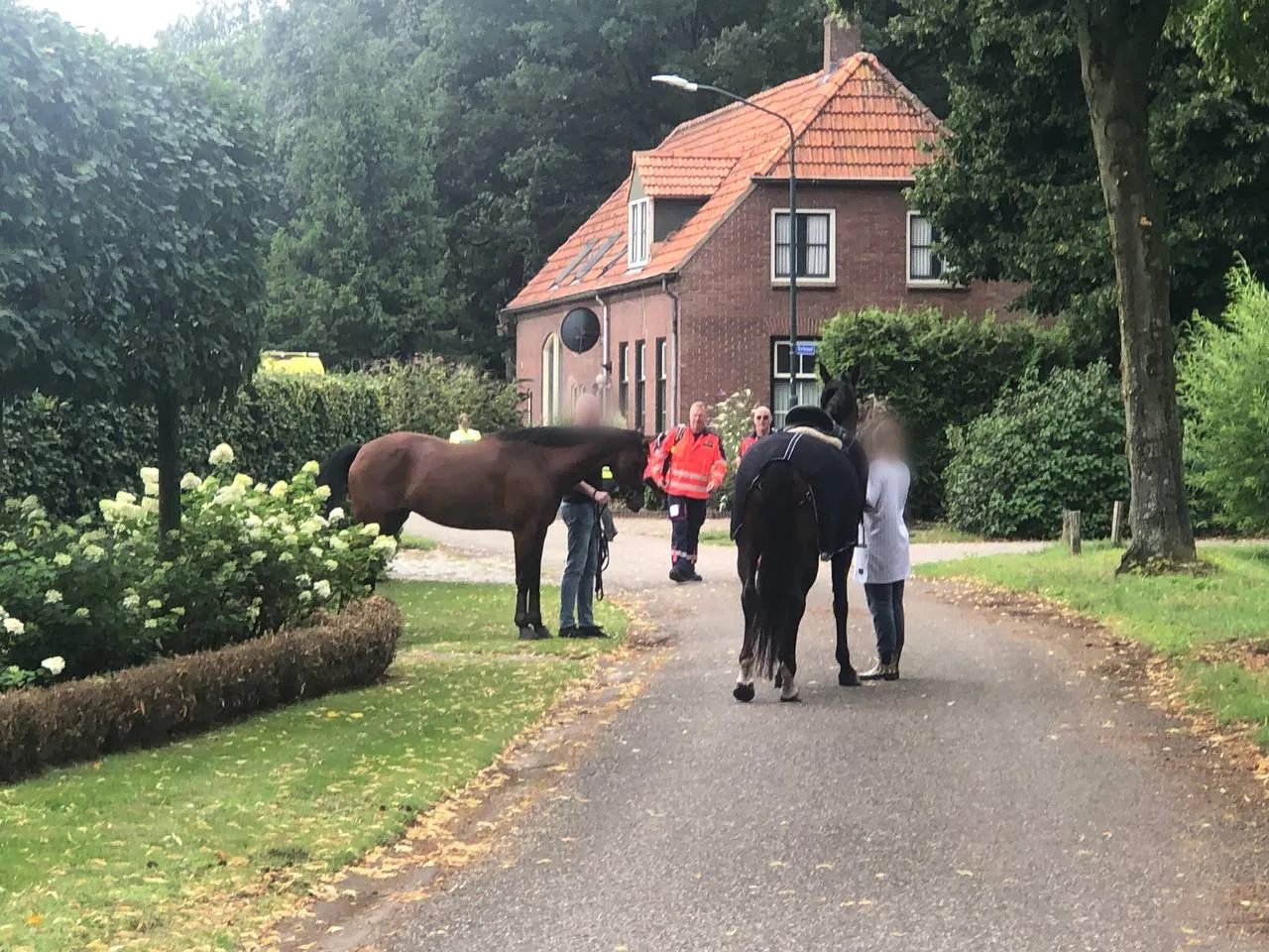 point blur jul302023 130929