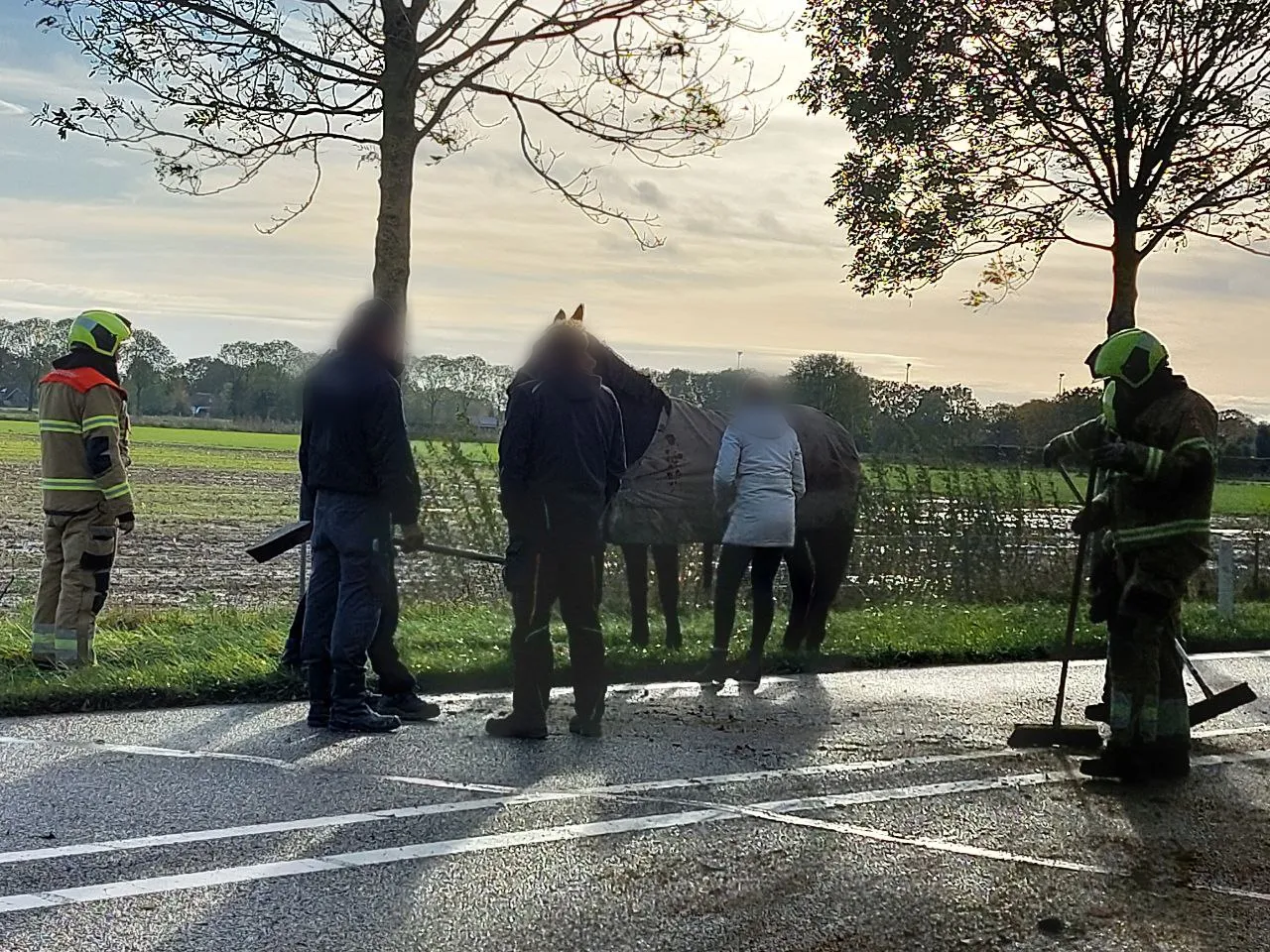 point blur nov042023 094316