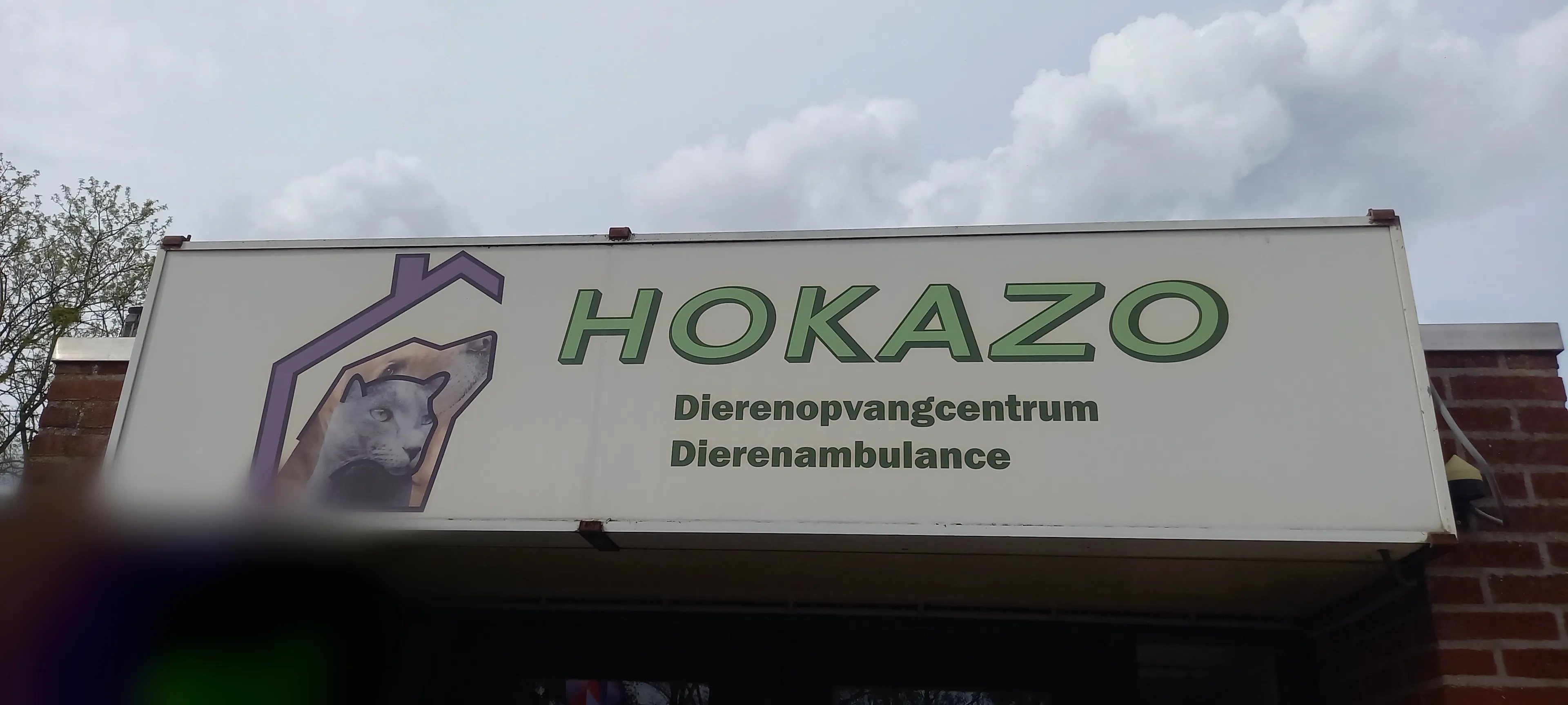 point blur nov222023 215844