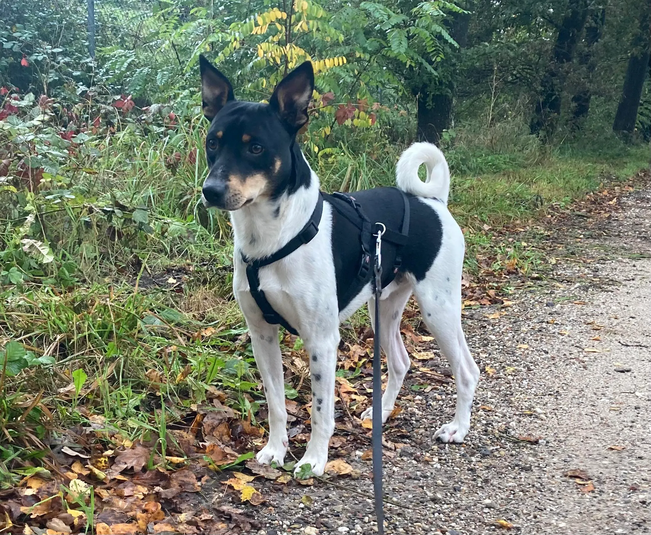 received 1048088356537656