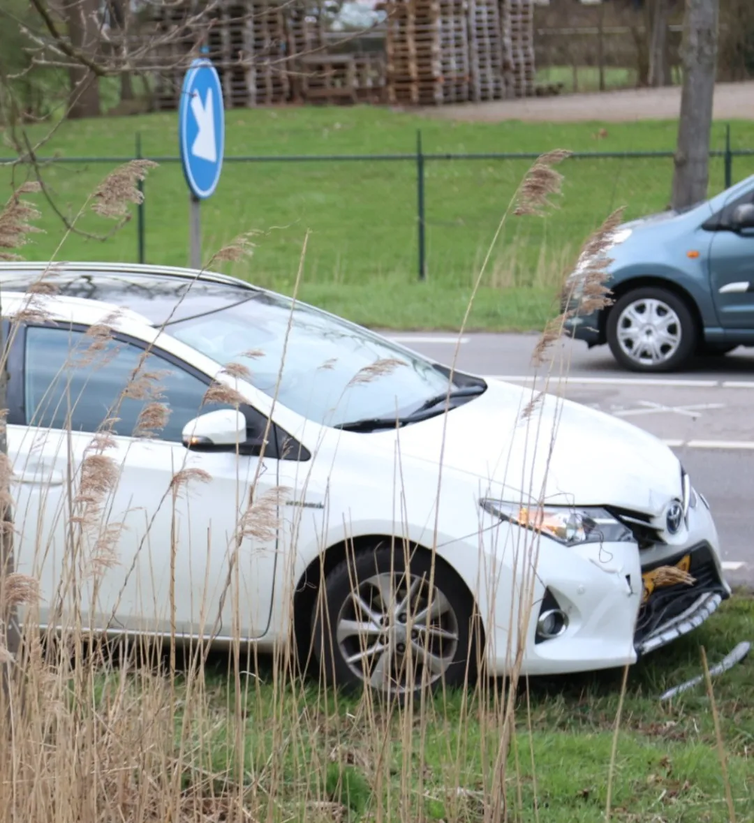 screenshot 20230323 175800 gallery 1