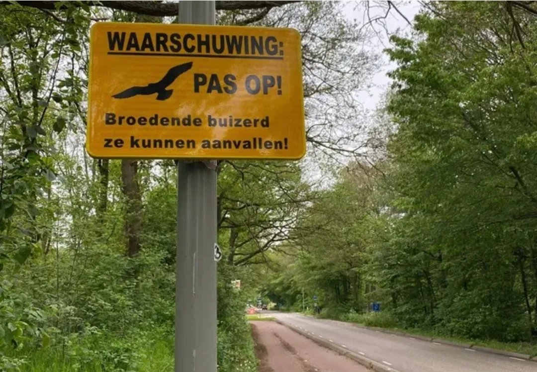 screenshot 20230531 100307 chrome