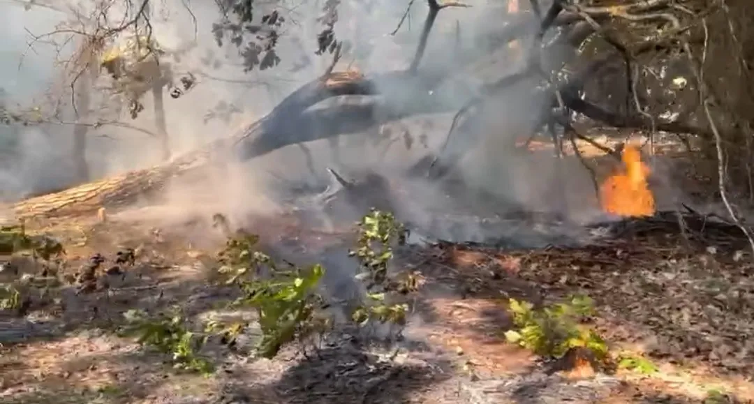 screenshot 20230615 195355 facebook 1