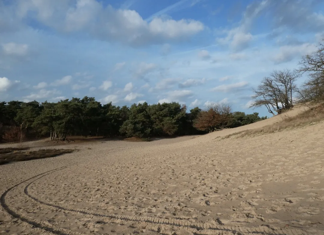 screenshot 20231013 131812 gallery